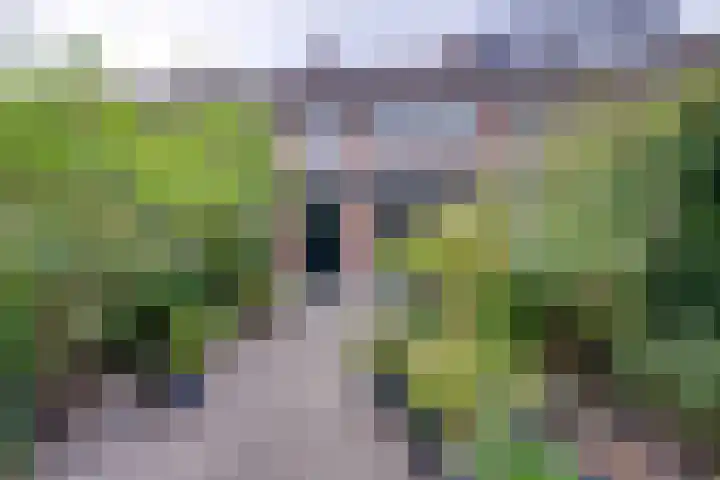 Schoorveken 5 Rijen thumbnail 41