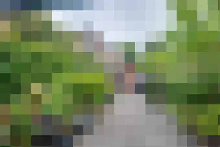 Schoorveken 5 Rijen thumbnail 42