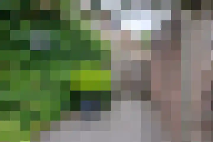 Schoorveken 5 Rijen thumbnail 43