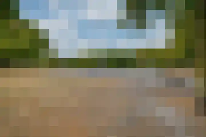 Schoorveken 5 Rijen thumbnail 45