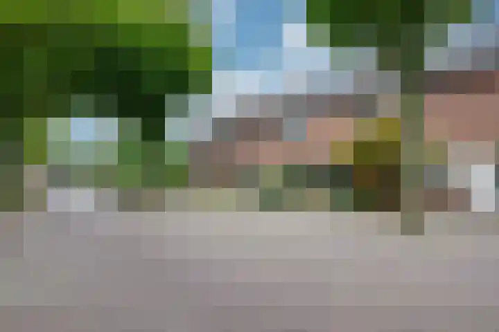 Schoorveken 5 Rijen thumbnail 6