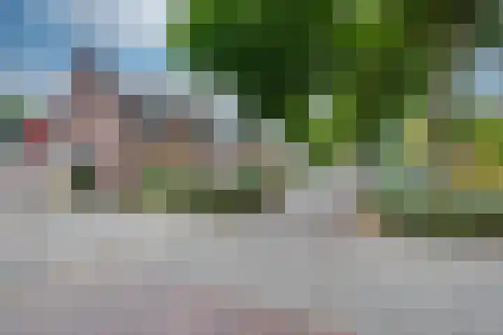 Schoorveken 5 Rijen thumbnail 7