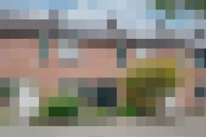 Schoorveken 5 Rijen thumbnail 8