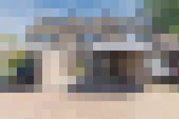 Schoorveken 60 en Rijen
