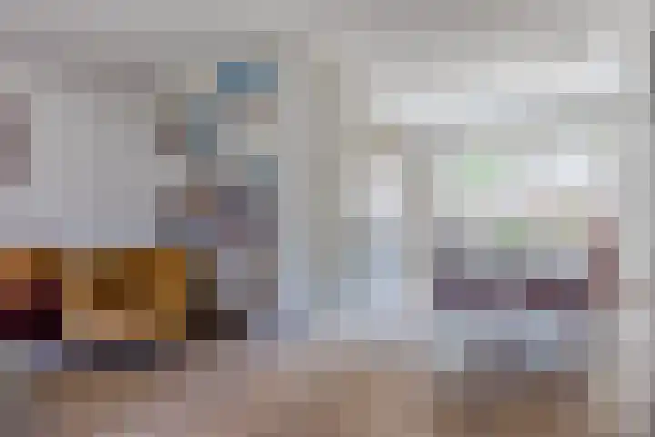 Schoorveken 60 Rijen thumbnail 11
