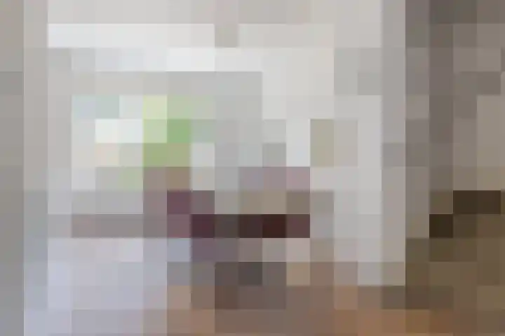 Schoorveken 60 Rijen thumbnail 12