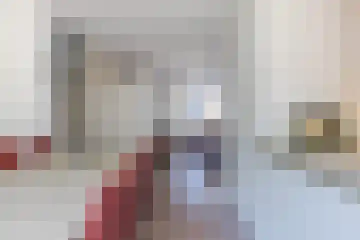 Schoorveken 60 Rijen thumbnail 13