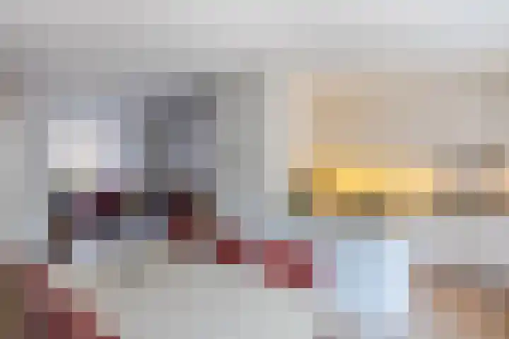 Schoorveken 60 Rijen thumbnail 14