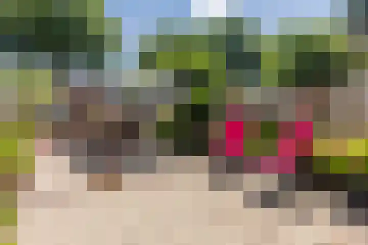 Schoorveken 60 Rijen thumbnail 16