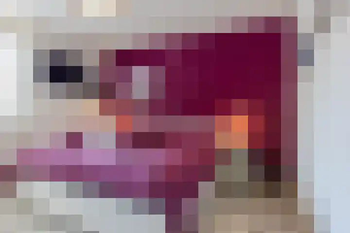 Schoorveken 60 Rijen thumbnail 18
