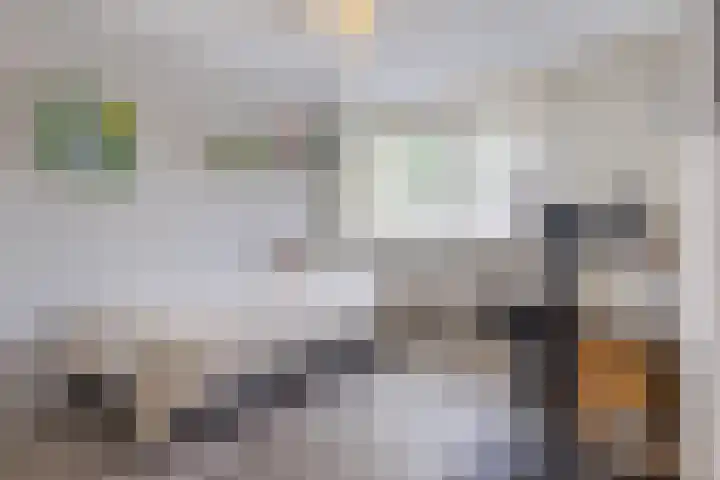 Schoorveken 60 Rijen thumbnail 20