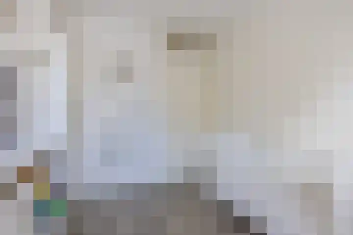 Schoorveken 60 Rijen thumbnail 23