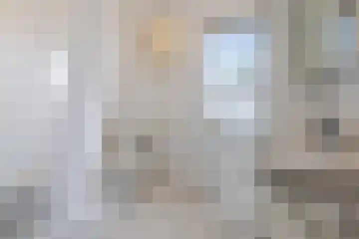 Schoorveken 60 Rijen thumbnail 24