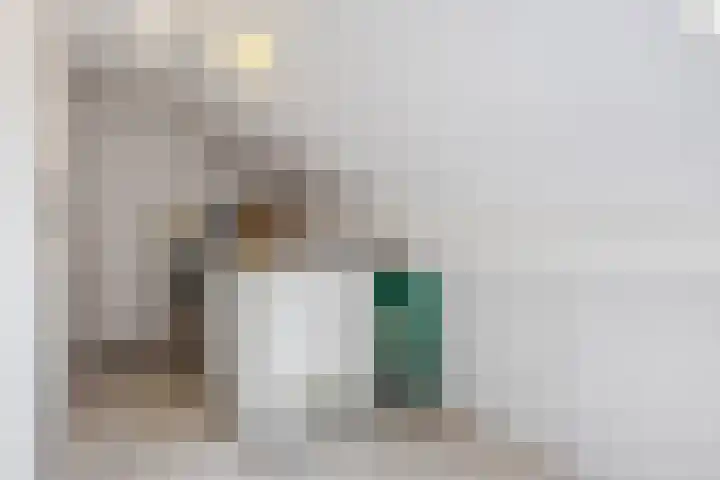 Schoorveken 60 Rijen thumbnail 31