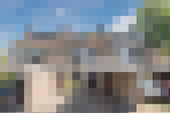 Schoorveken 60 Rijen thumbnail 33