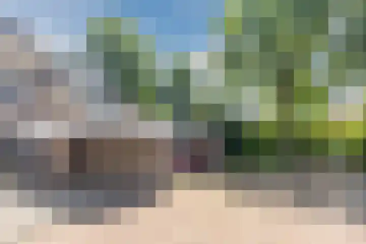 Schoorveken 60 Rijen thumbnail 34