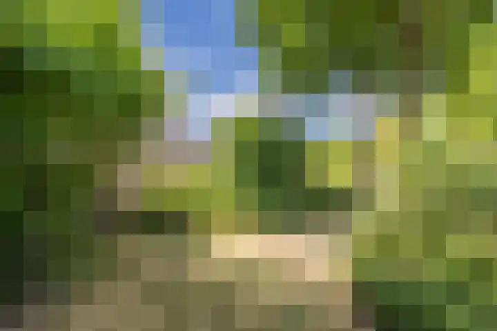 Schoorveken 60 Rijen thumbnail 36