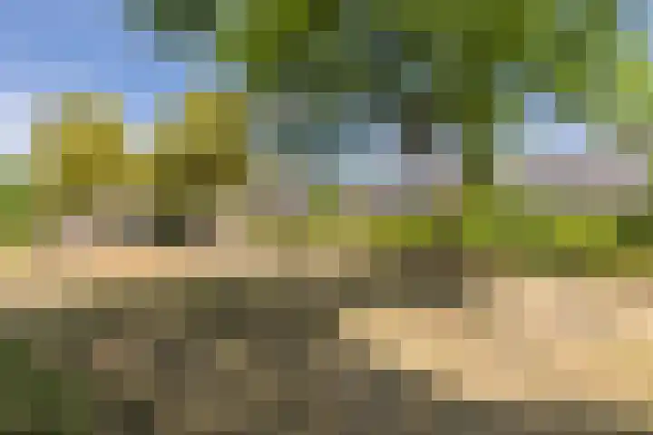 Schoorveken 60 Rijen thumbnail 37