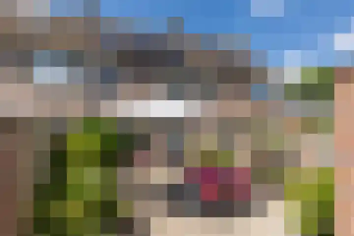Schoorveken 60 Rijen thumbnail 4