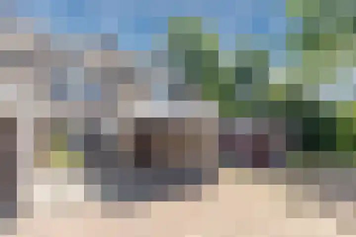 Schoorveken 60 Rijen thumbnail 5