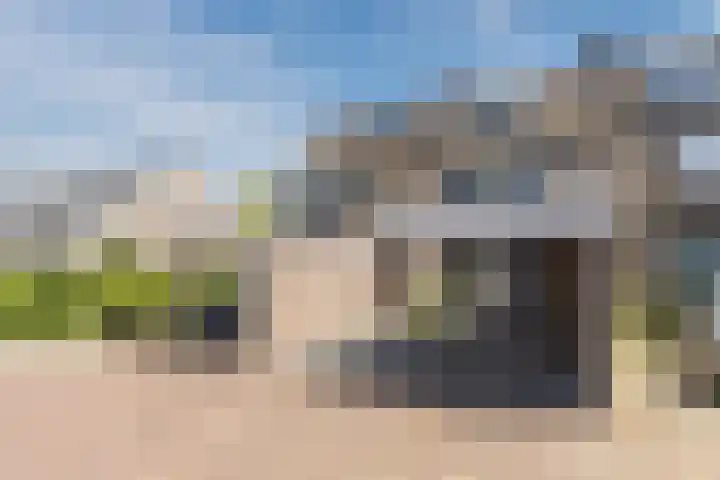 Schoorveken 60 Rijen thumbnail 6