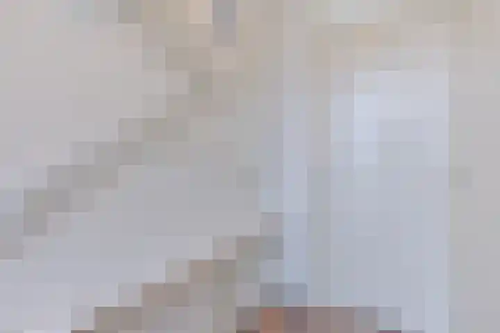 Schoorveken 60 Rijen thumbnail 8