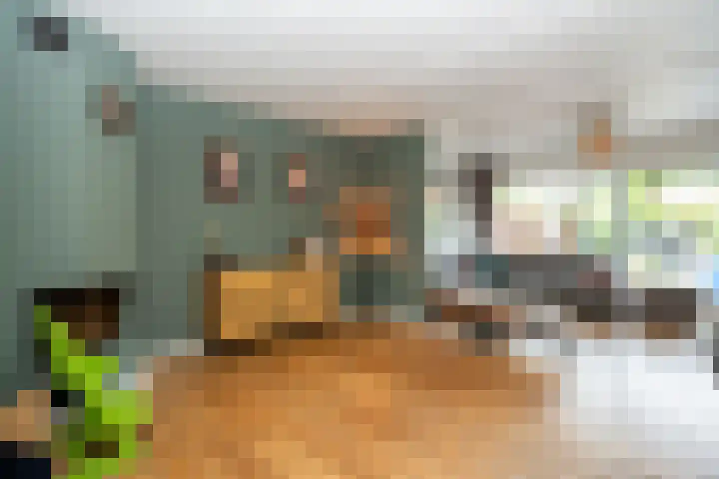 Schoorwal 3 Den Burg thumbnail 10