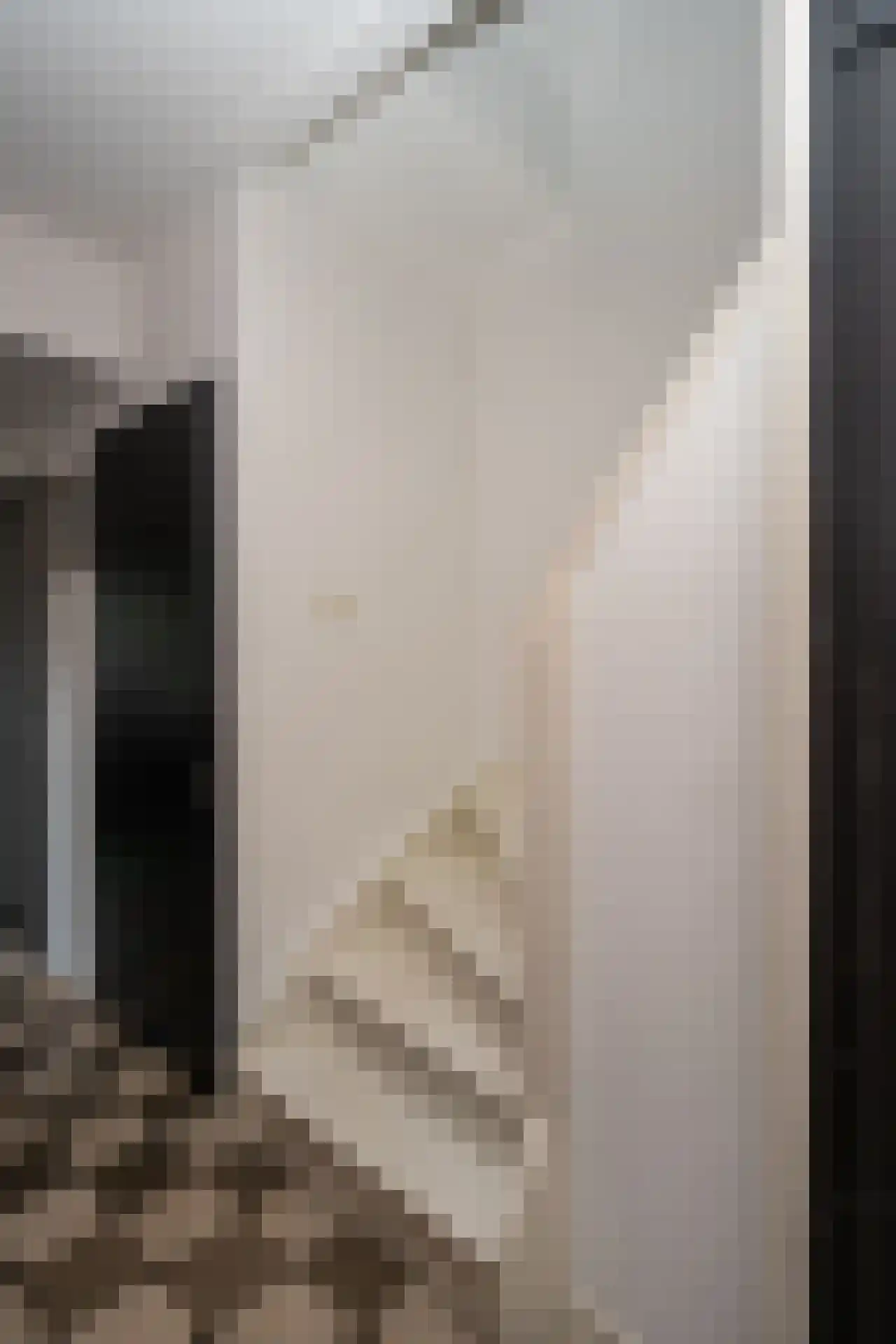 Schoorwal 3 Den Burg thumbnail 21