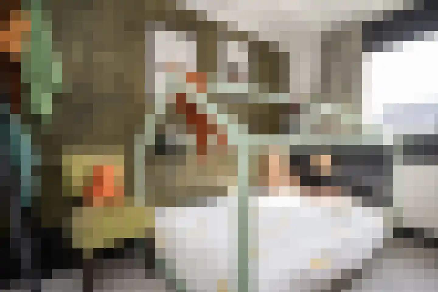 Schoorwal 3 Den Burg thumbnail 24
