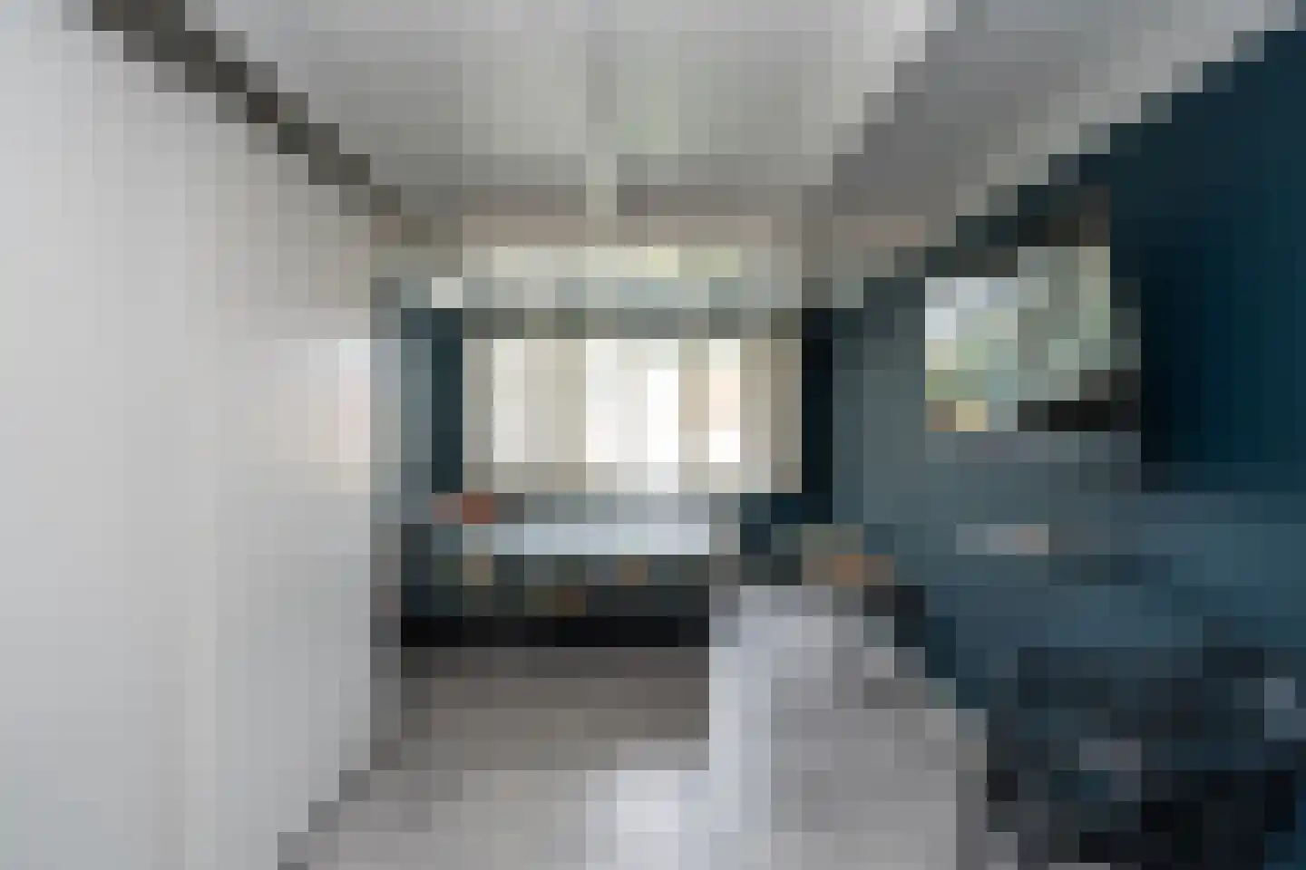 Schoorwal 3 Den Burg thumbnail 29