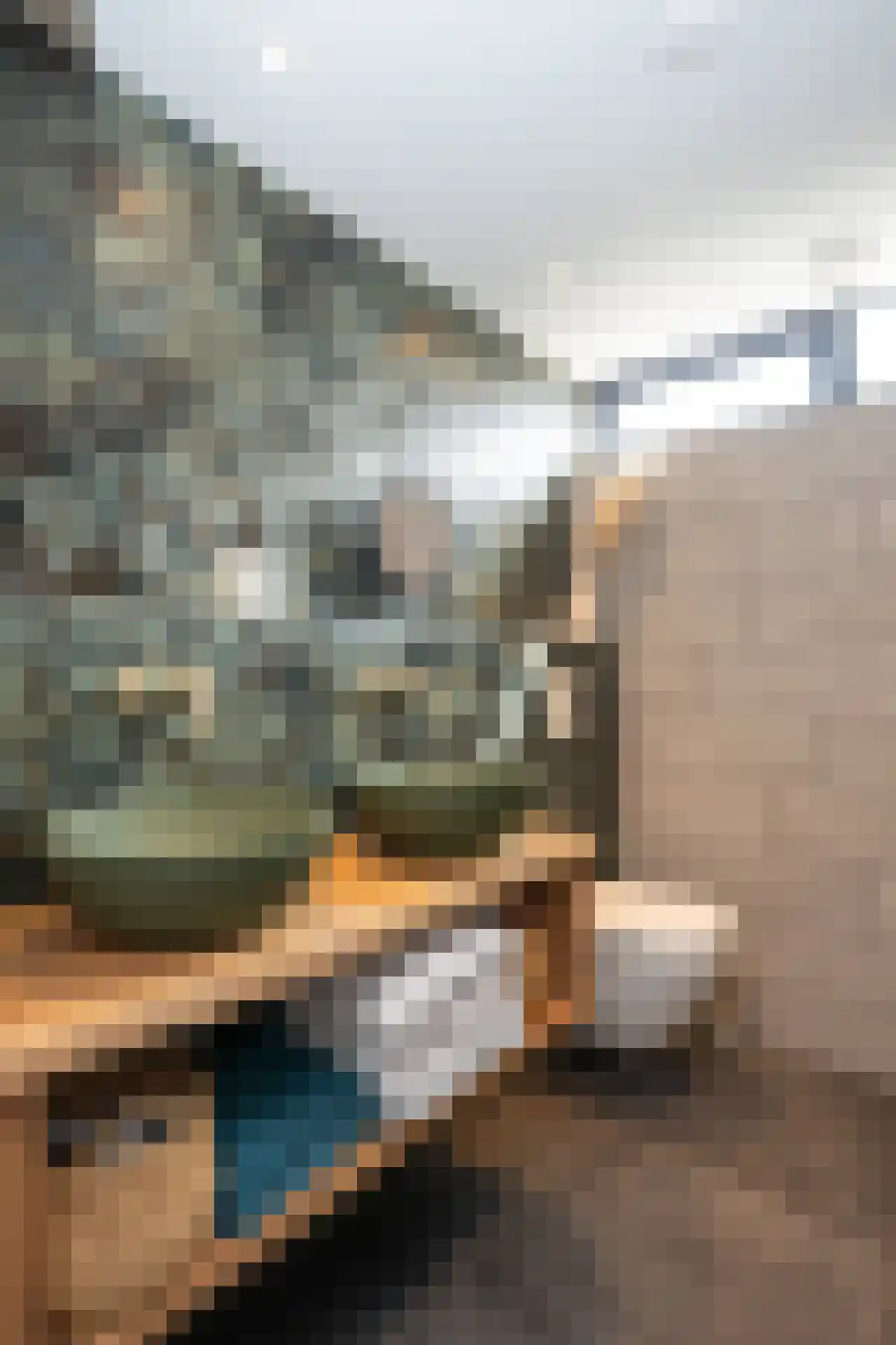 Schoorwal 3 Den Burg thumbnail 32