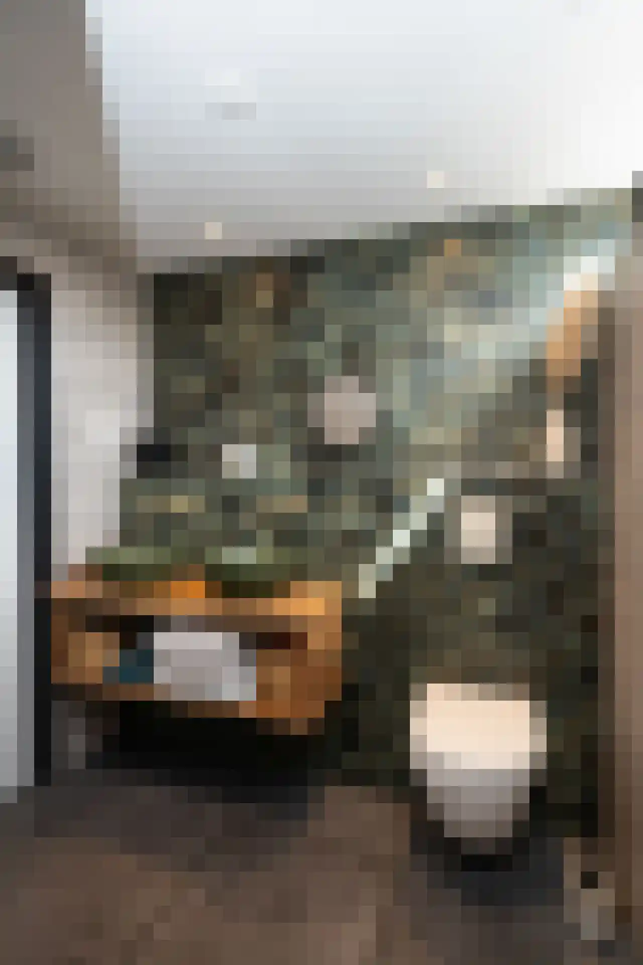 Schoorwal 3 Den Burg thumbnail 33