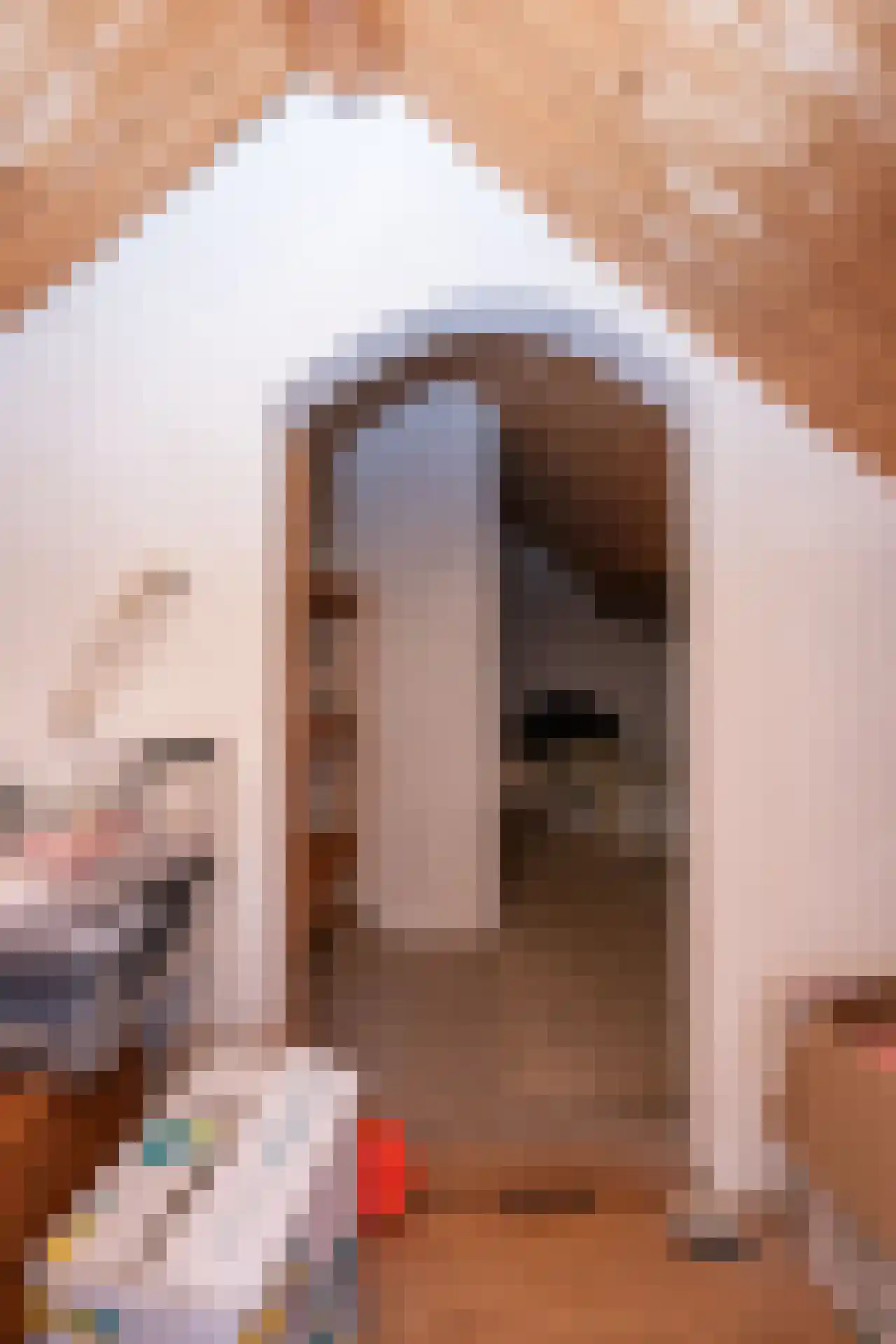 Schoorwal 3 Den Burg thumbnail 36