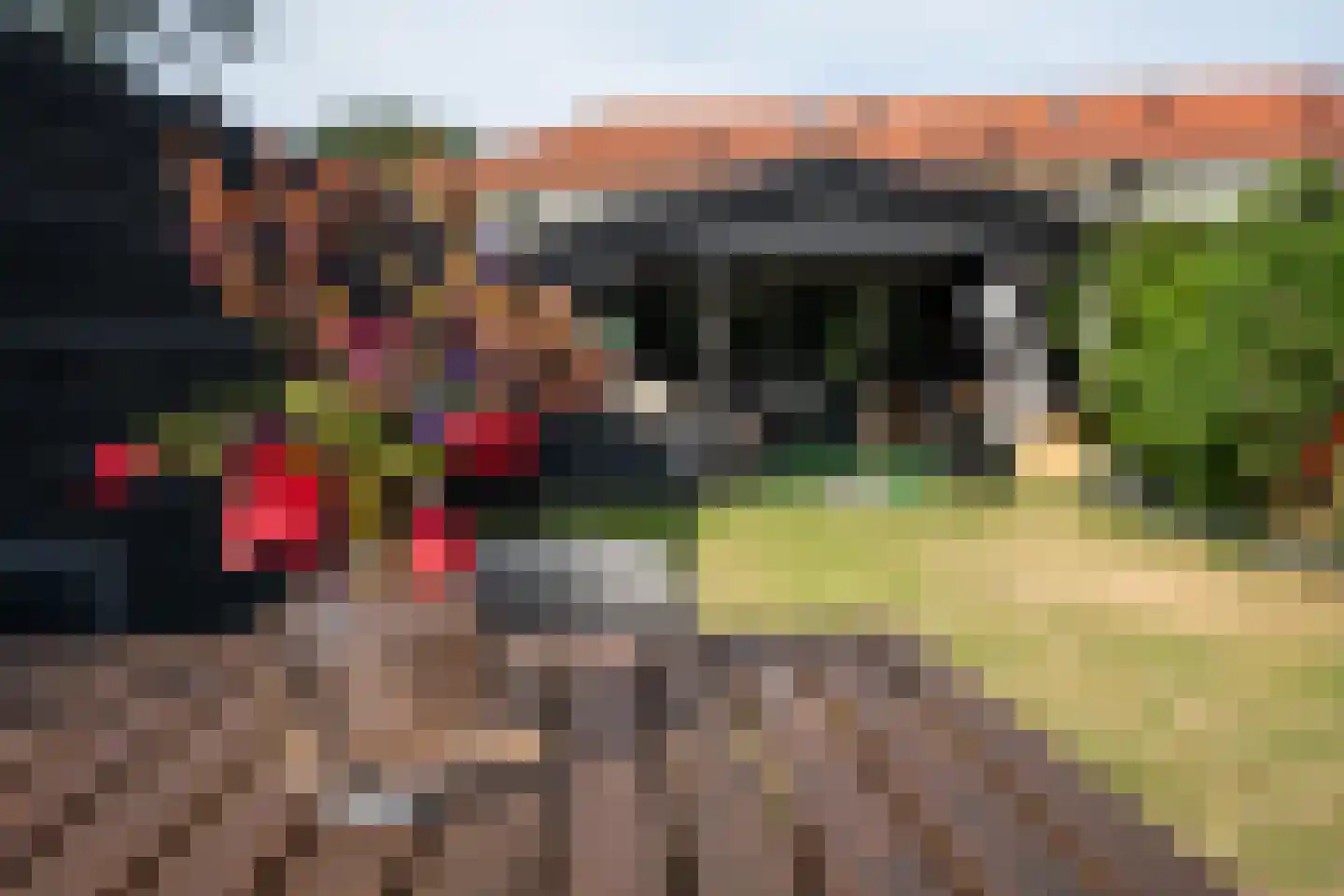 Schoorwal 3 Den Burg thumbnail 4