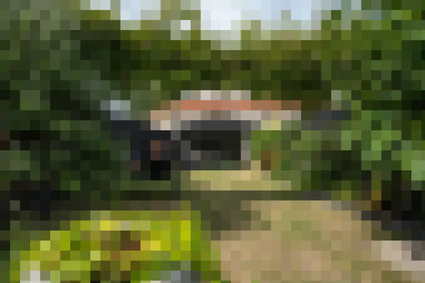 Schoorwal 3 Den Burg thumbnail 40