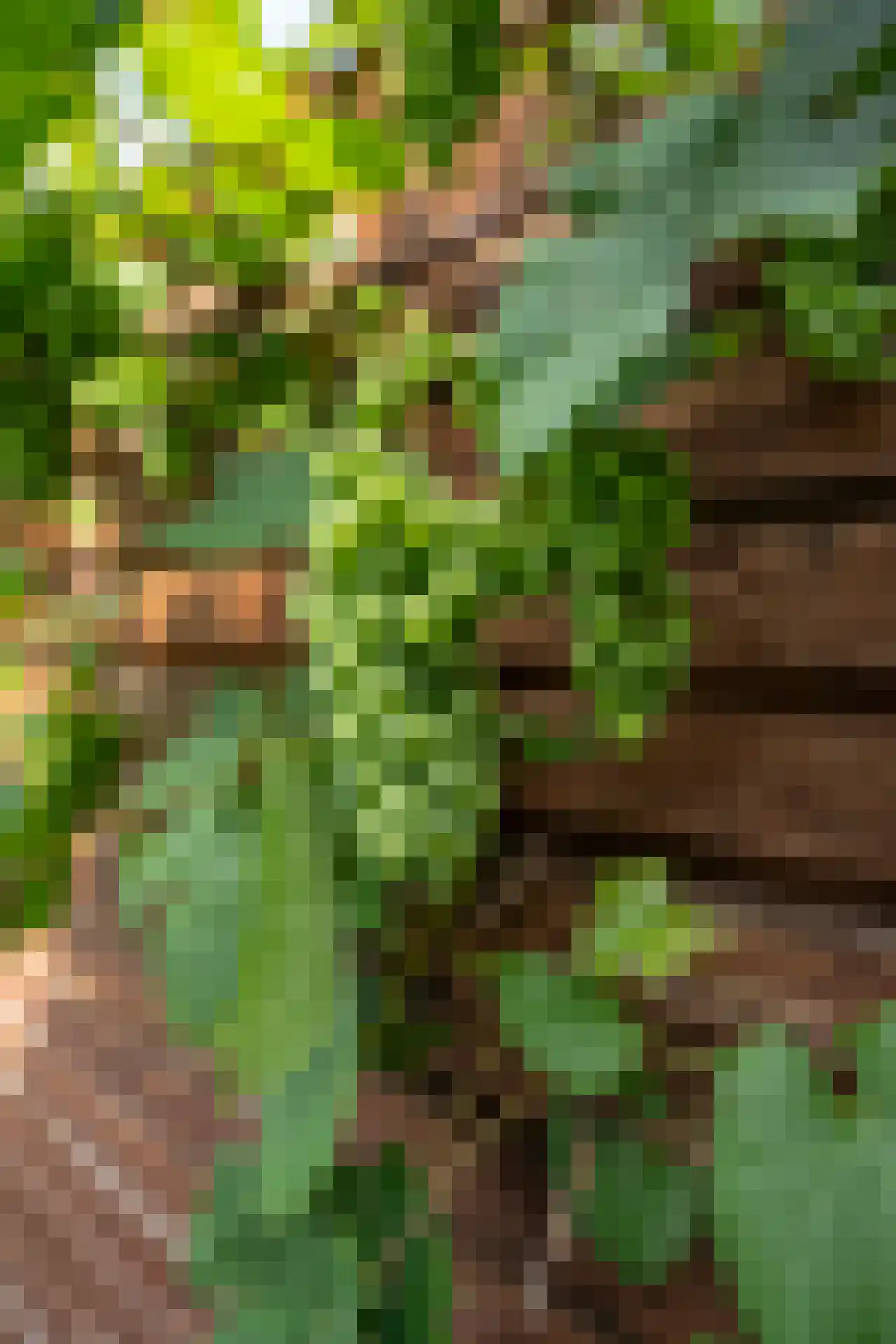 Schoorwal 3 Den Burg thumbnail 41