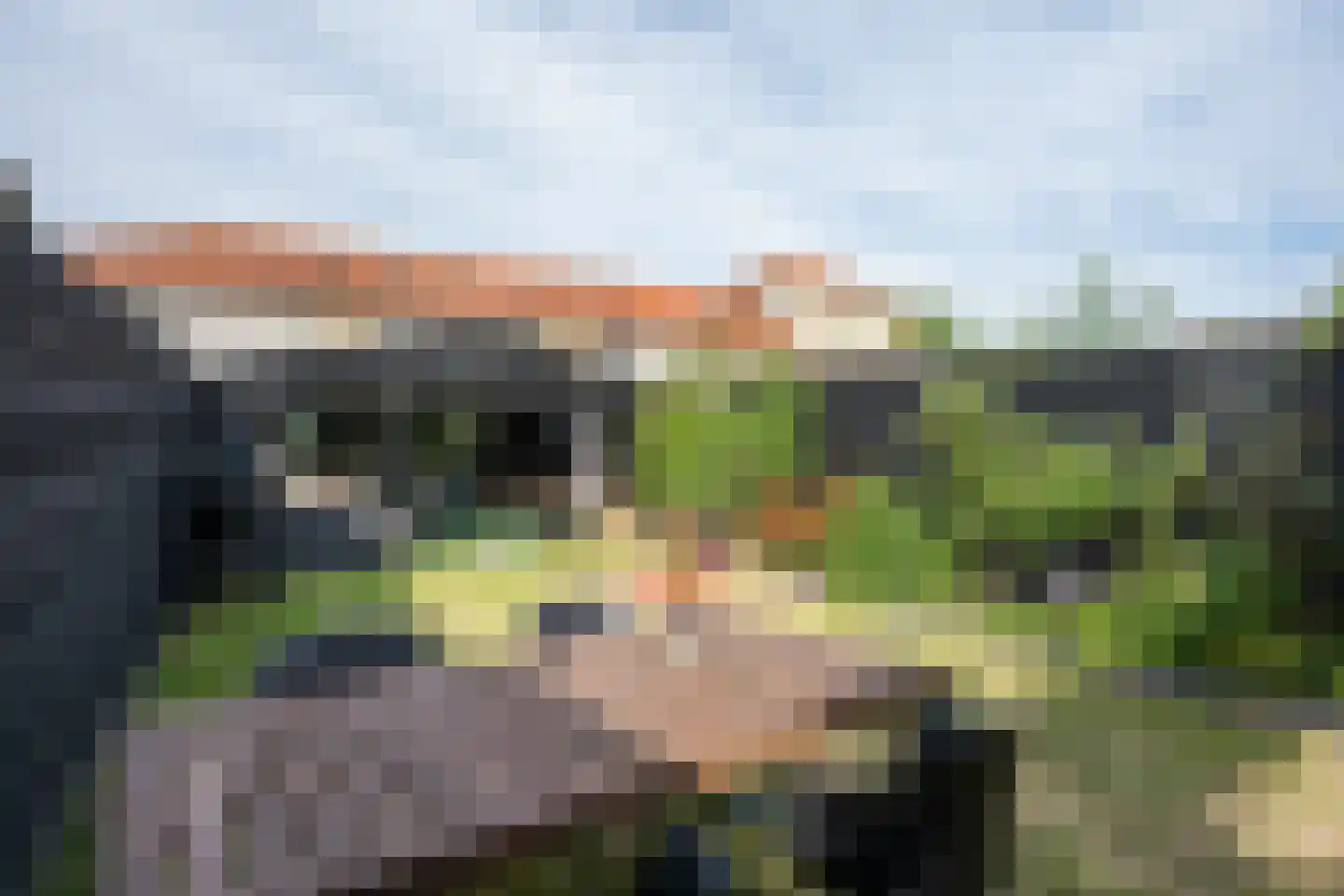 Schoorwal 3 Den Burg thumbnail 42