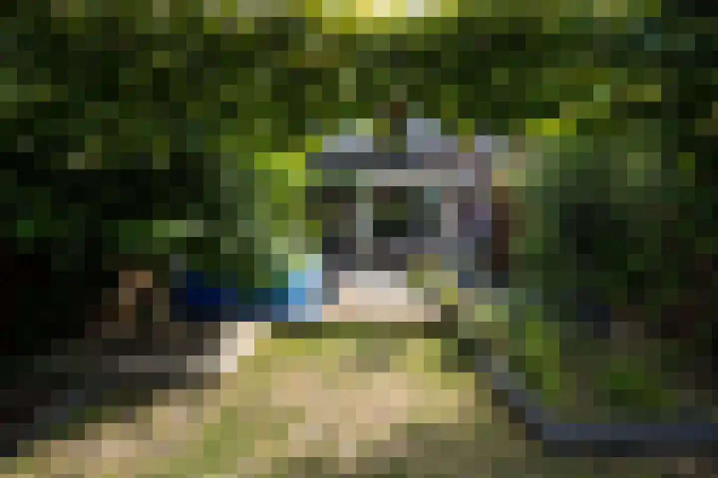 Schoorwal 3 Den Burg thumbnail 47