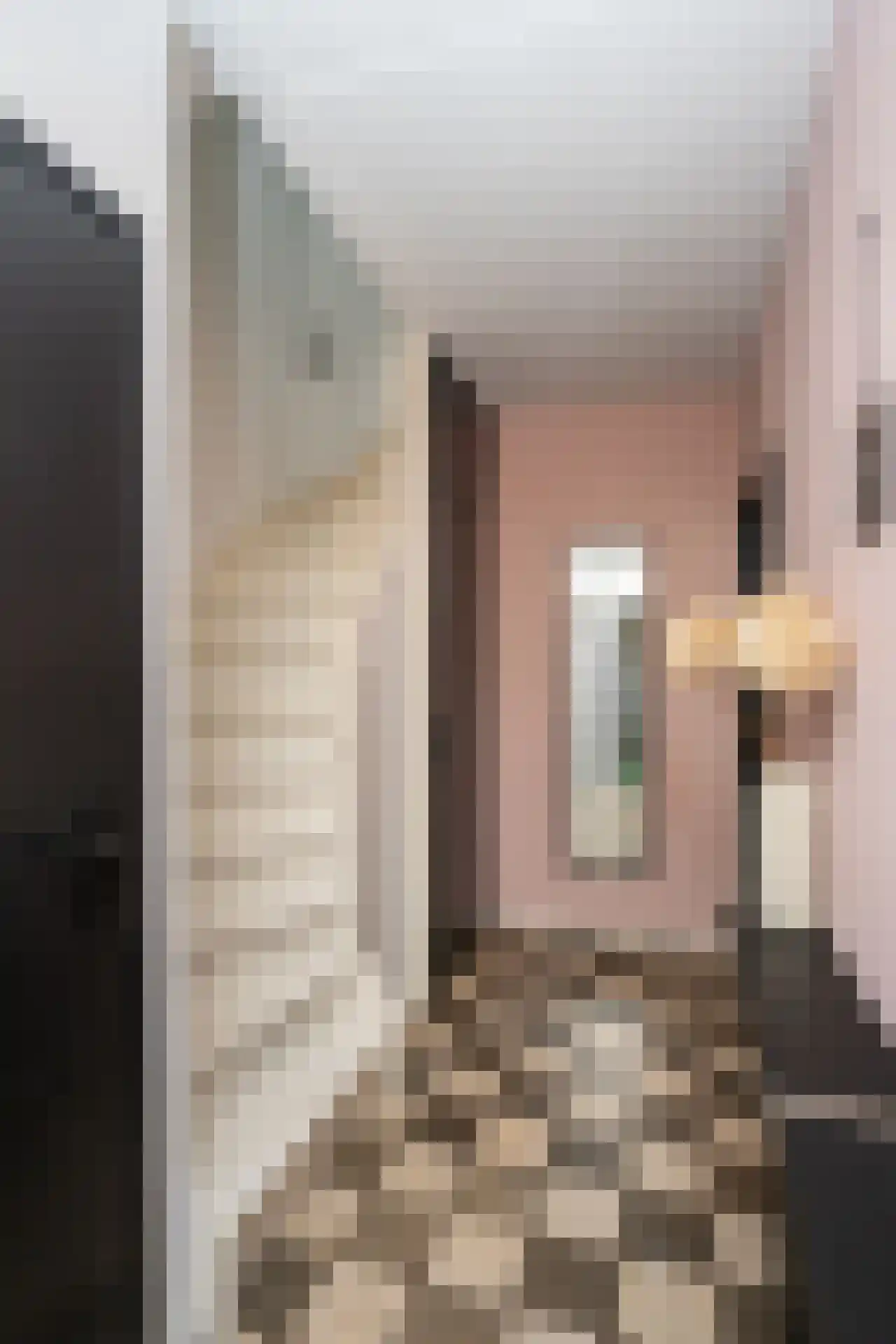 Schoorwal 3 Den Burg thumbnail 6