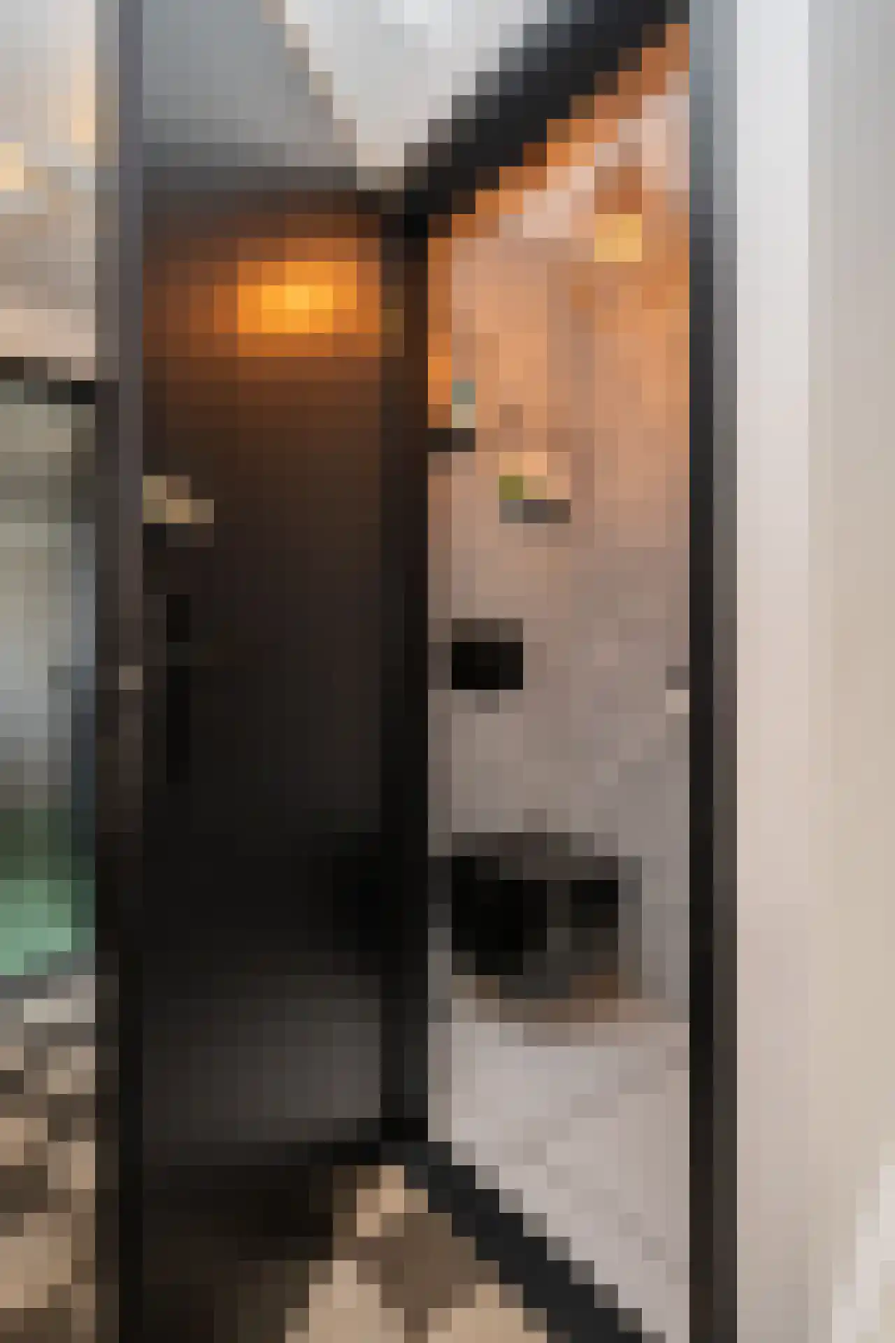 Schoorwal 3 Den Burg thumbnail 7