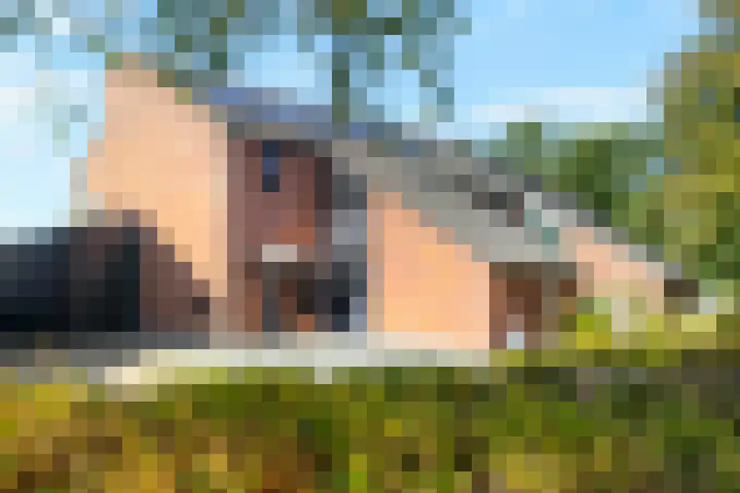 Schoorwal 45 Den Burg