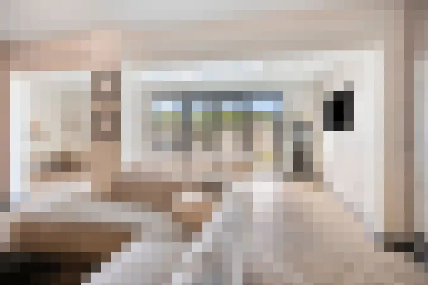 Schoorwal 45 Den Burg thumbnail 10