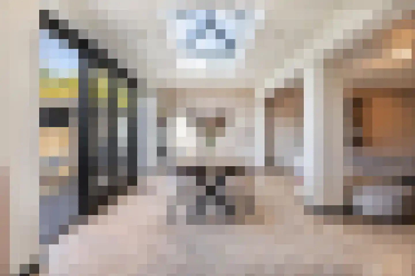 Schoorwal 45 Den Burg thumbnail 14