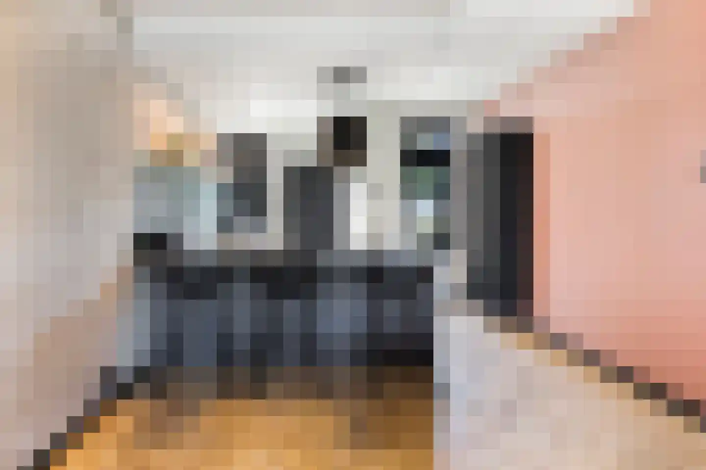 Schoorwal 45 Den Burg thumbnail 15