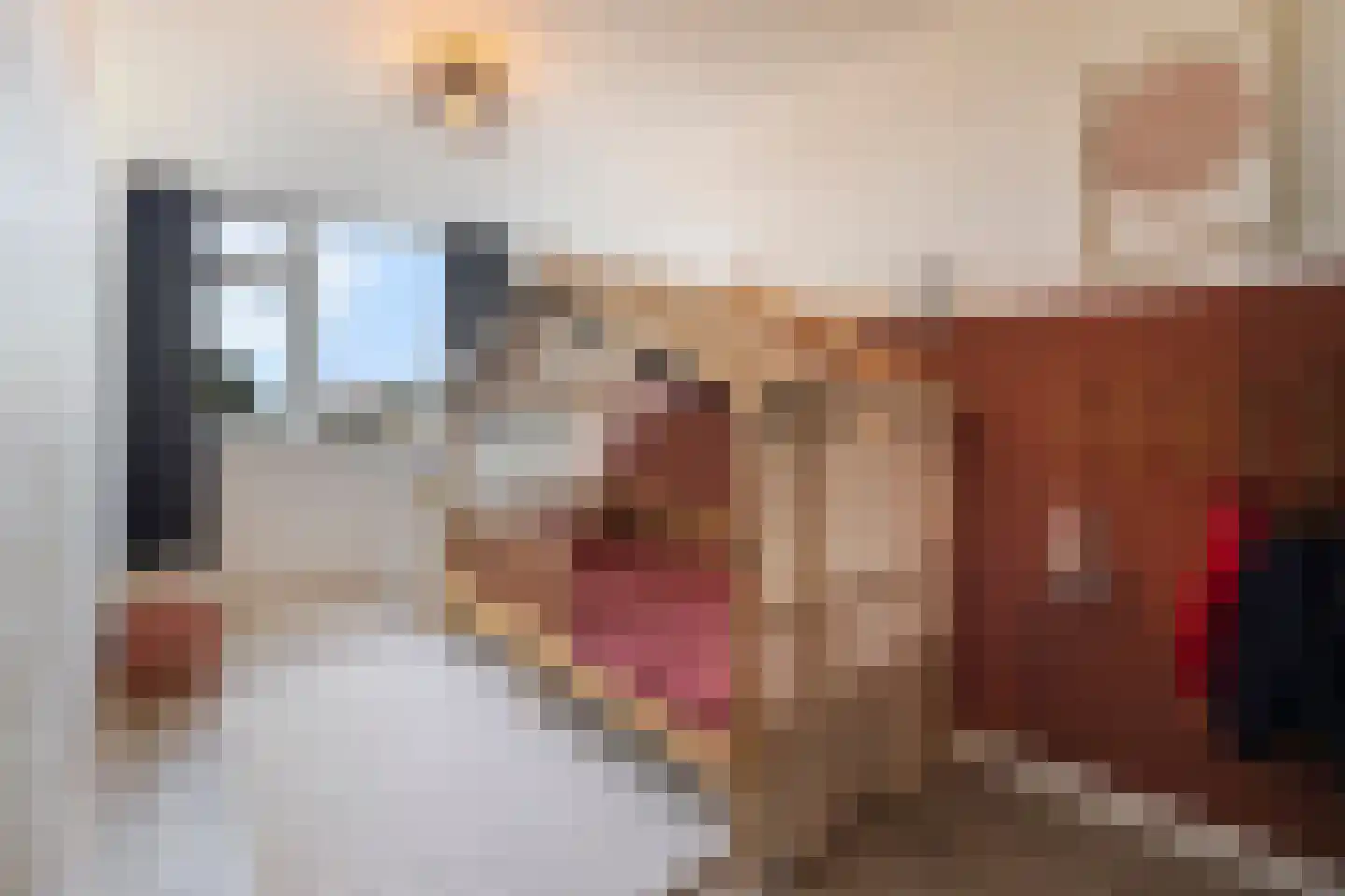 Schoorwal 45 Den Burg thumbnail 24