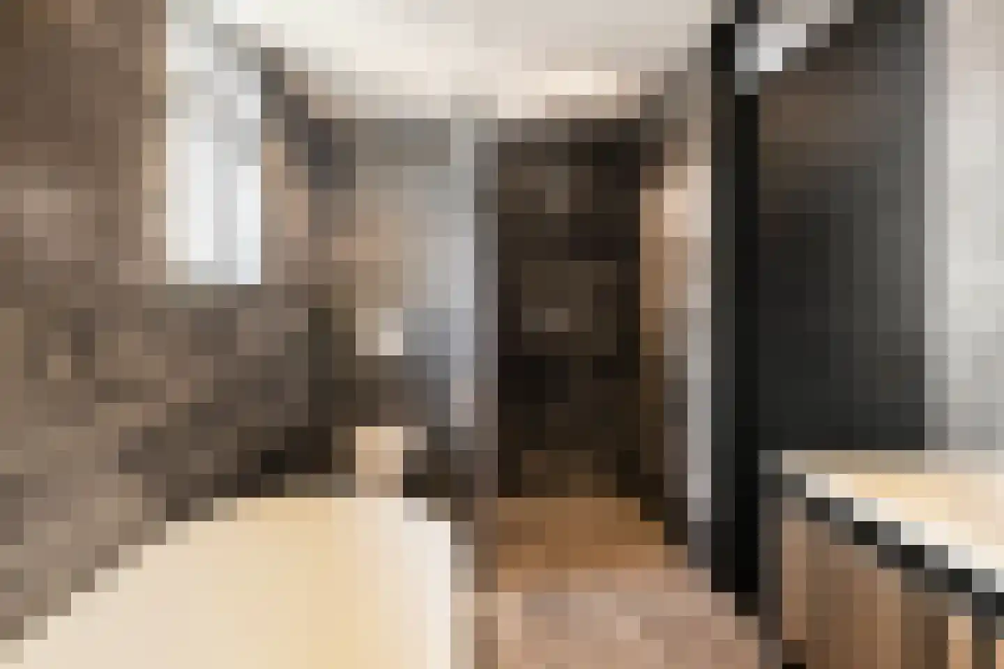 Schoorwal 45 Den Burg thumbnail 29
