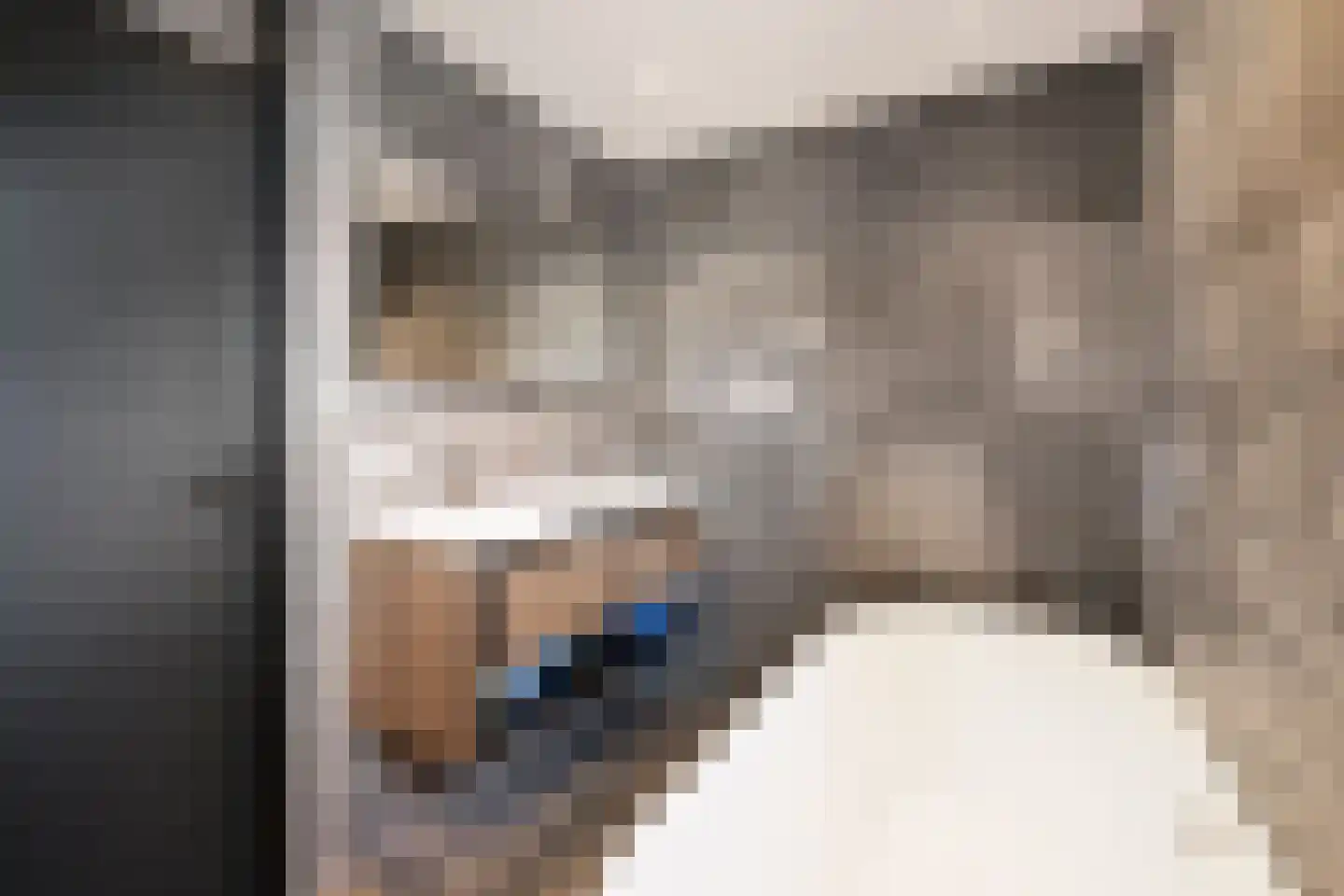 Schoorwal 45 Den Burg thumbnail 30