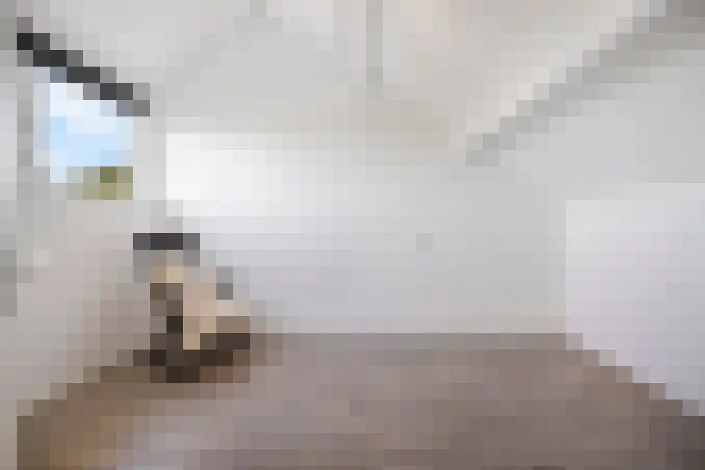 Schoorwal 45 Den Burg thumbnail 33