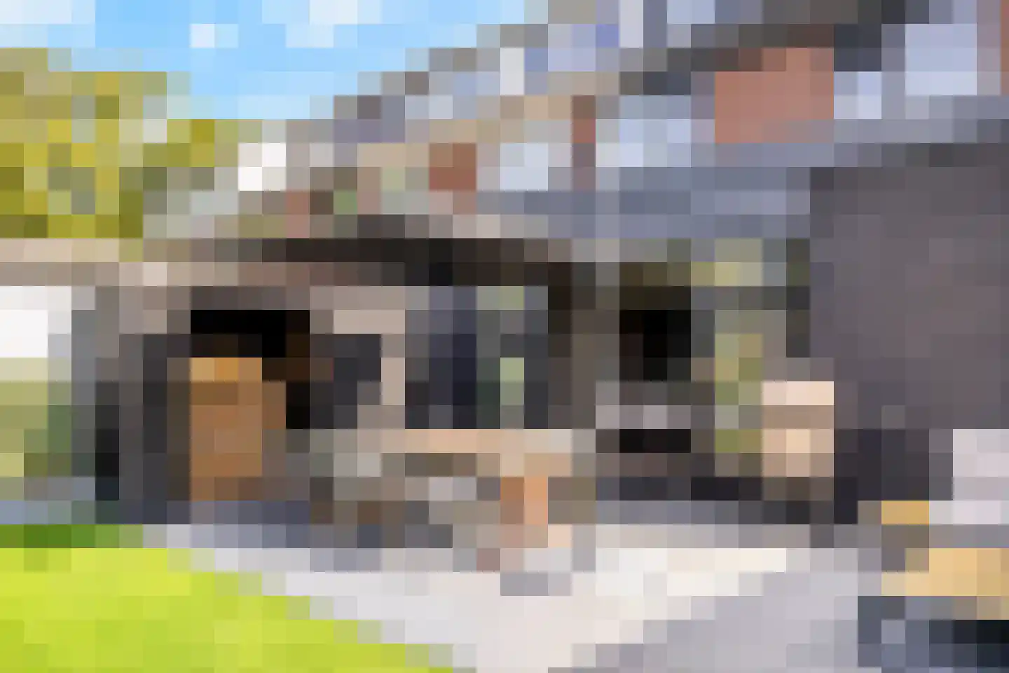 Schoorwal 45 Den Burg thumbnail 36
