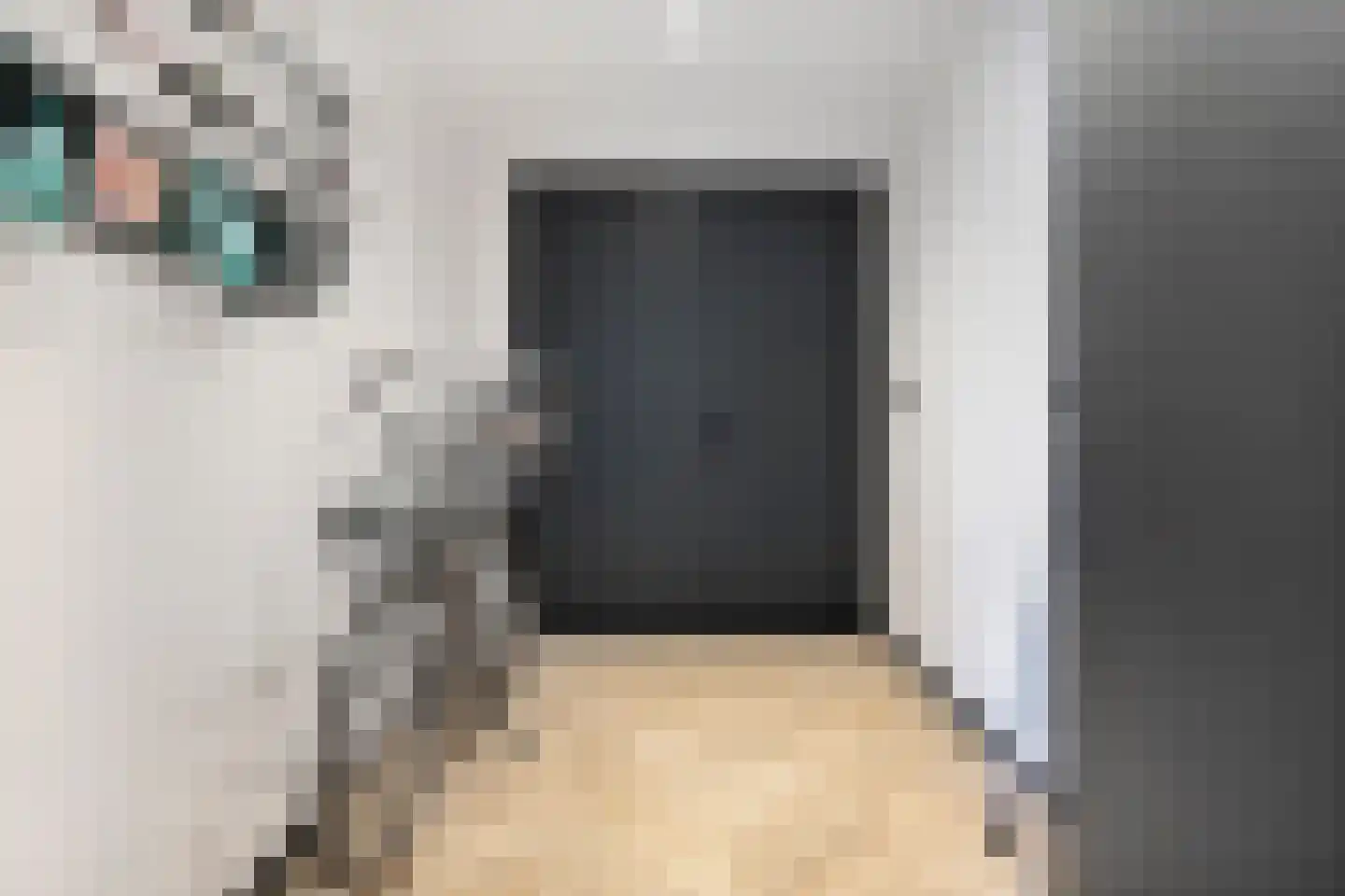 Schoorwal 45 Den Burg thumbnail 39